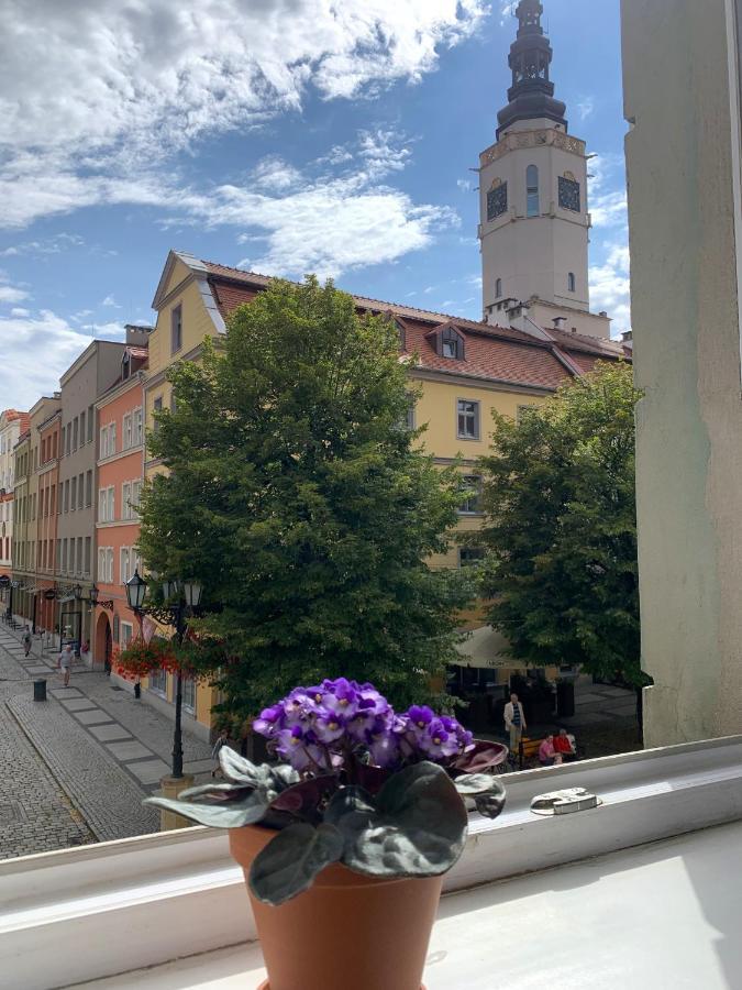 Rynekart Apartment Świdnica Eksteriør billede